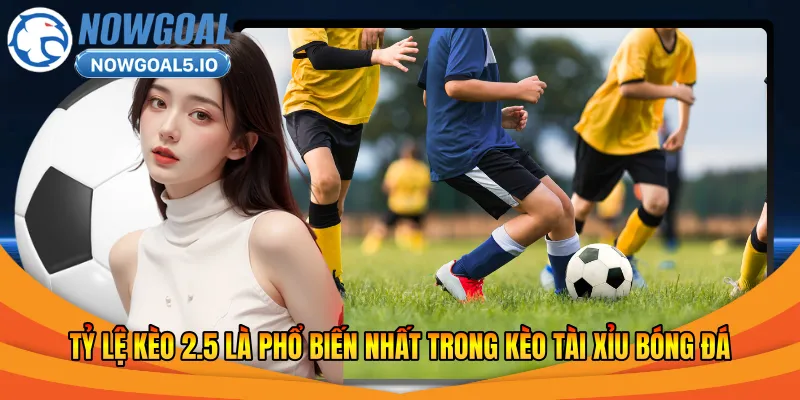 Tỷ lệ kèo 2.5 là phổ biến nhất trong kèo tài xỉu bóng đá
